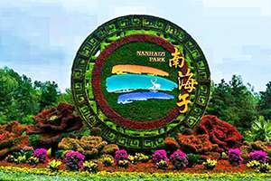 五色草立體花壇